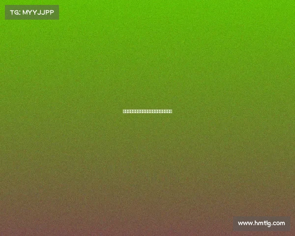 足球俱乐部转会规划方案分析与实施策略研究